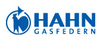 HAHN Gasfedern GmbH